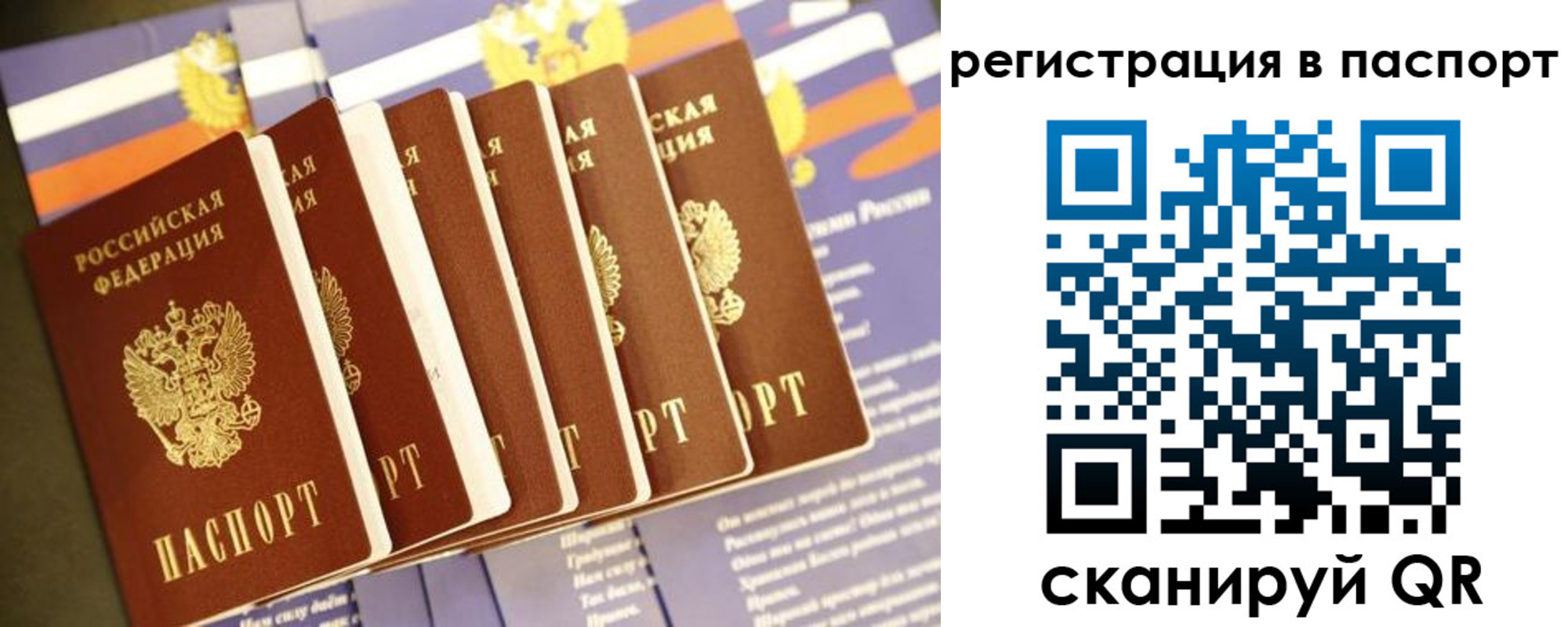 прописка ребенка в Жердевке